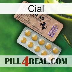 Cial 41